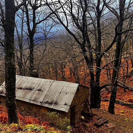 Mar De Nubes Ii Entre El Valle Del Jerte Y La Vera Piornal