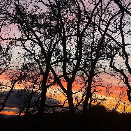Apartman Mar De Nubes Ii Entre El Valle Del Jerte Y La Vera