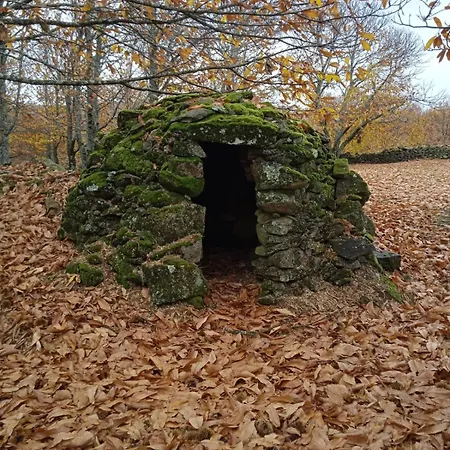 Mar De Nubes Ii Entre El Valle Del Jerte Y La Vera Piornal