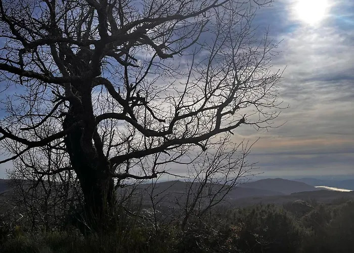 Mar De Nubes Ii Entre El Valle Del Jerte Y La Vera Piornal